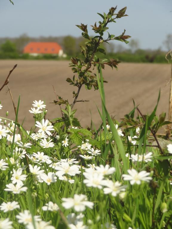 Land & Meer Hasselberg  Zewnętrze zdjęcie