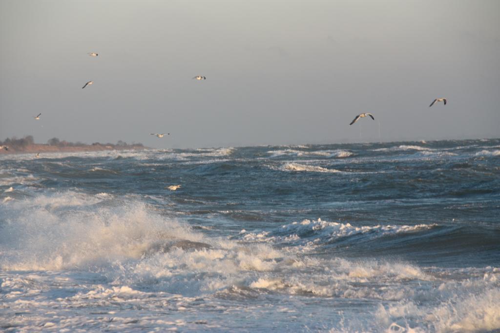Land & Meer Hasselberg  Zewnętrze zdjęcie